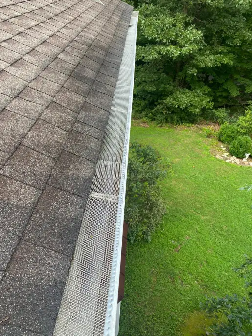 Professional Pressure Washing Services